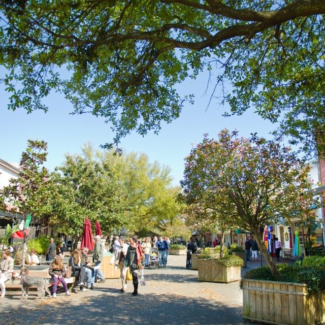 Savannah City Market