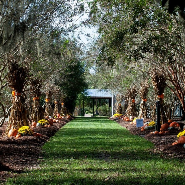 Autumn GardenFest Coastal Georgia Botanical Gardens