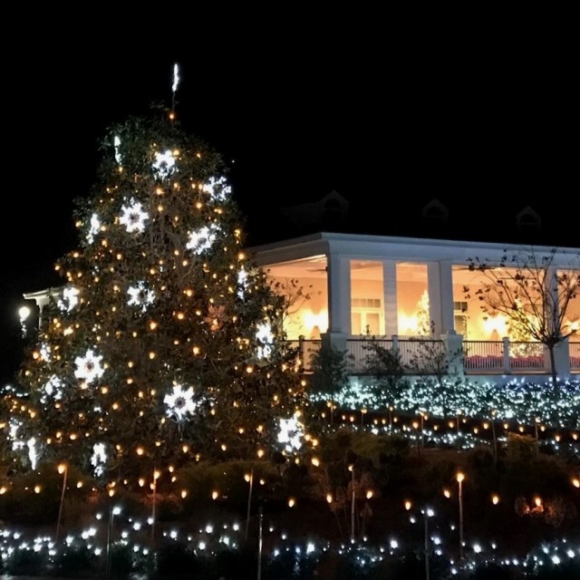 December Nights & Holiday Lights Coastal Georgia Botanical Gardens