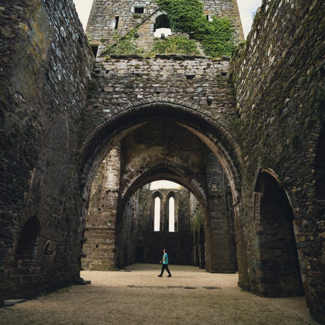 Dunbrody Abbey - Dunbrody, Co. Wexford, Ireland