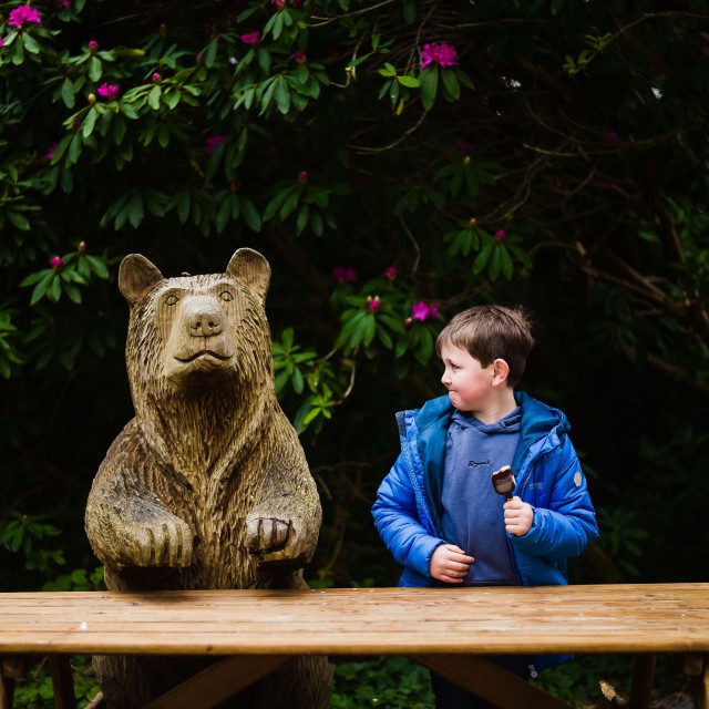 Wells House & Gardens - Ballyedmond, Gorey, Co. Wexford, Ireland