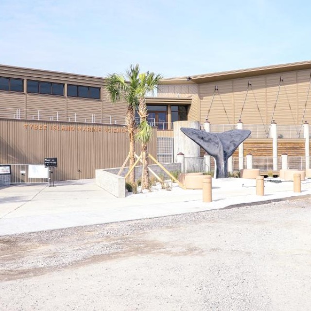 Tybee Island Marine Science Center
