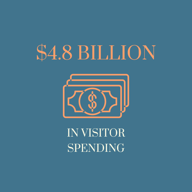 visitor spending 2024