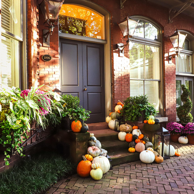 Savannah Fall Pumpkins; Brittany Howard, photographer