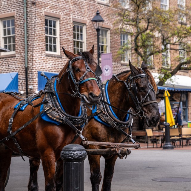 Photo courtesy of City Market