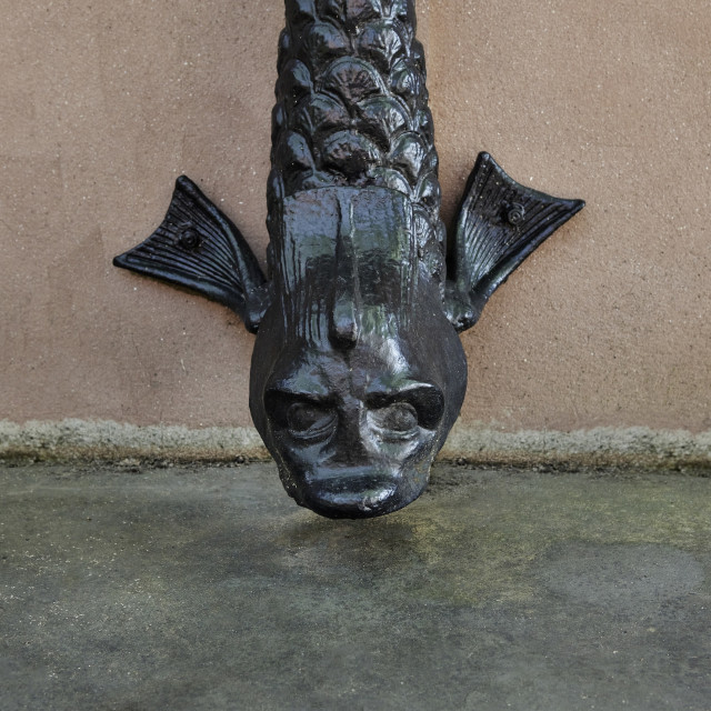 Savannah downspouts