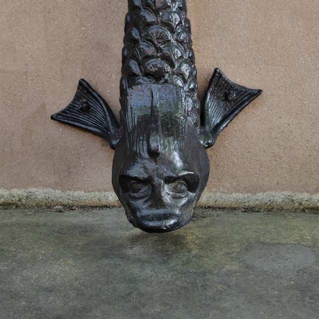 Savannah downspouts
