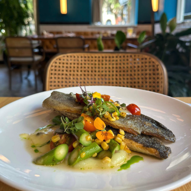 North Carolina rainbow trout with parsnip purée, corn, heirloom tomato, and asparagus in lemon butter