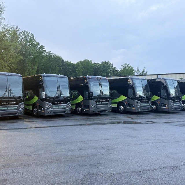 Several black charter buses lined up in a parking lot.