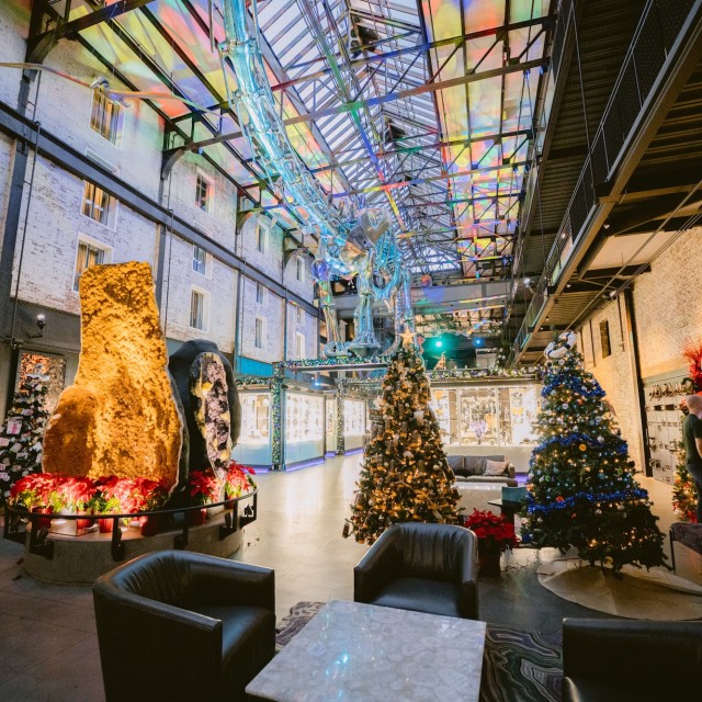 Savannah Christmas Market