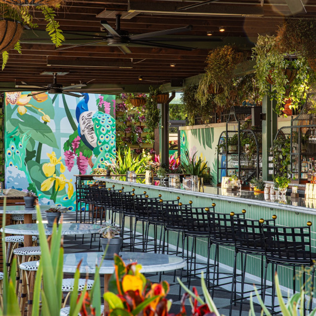 Lush rooftop bar at Perry Lane Hotel featuring hanging greenery, a colorful peacock mural, green-tiled bar seating and an open-air lounge designed for relaxed social gatherings.