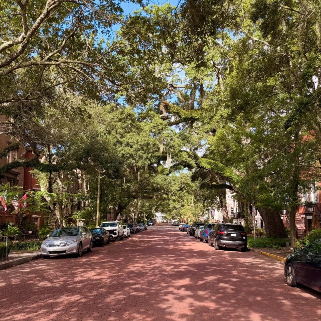 A street view of a Savannah neighborhood.
