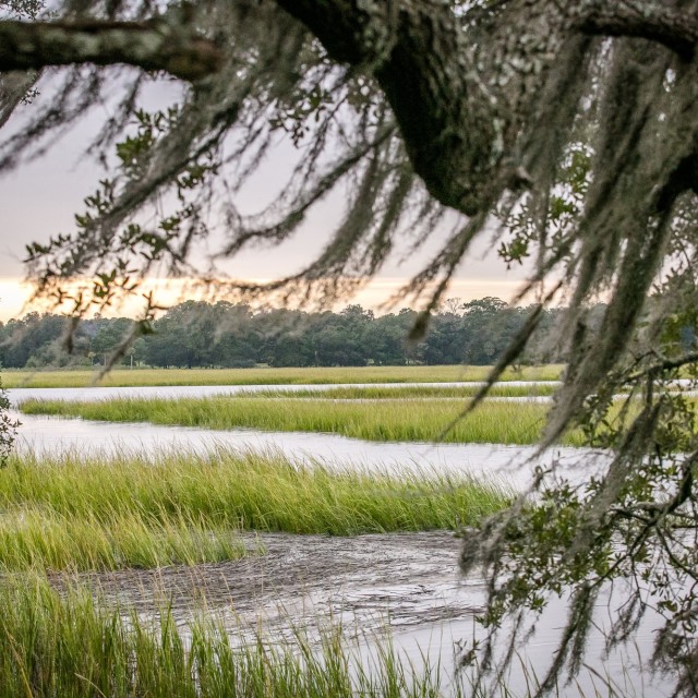 moon-river-marsh-sunset.jpg