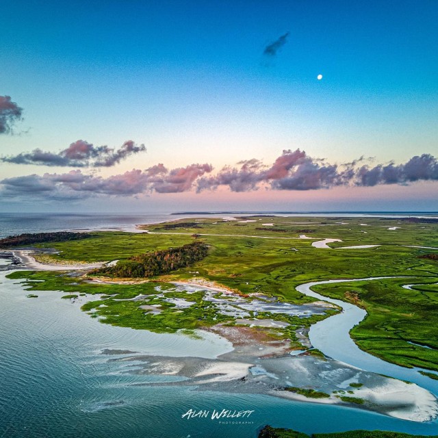 little tybee island