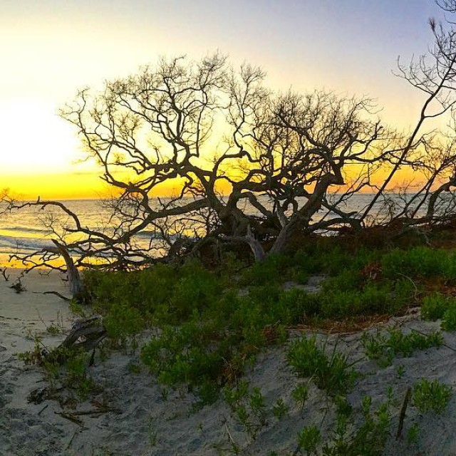 little tybee island camping