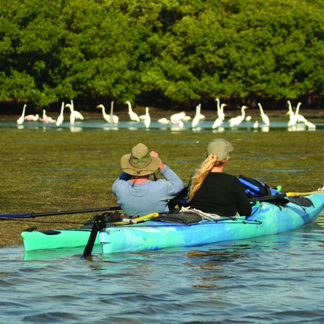 Savannah Bird Watcher Kayak