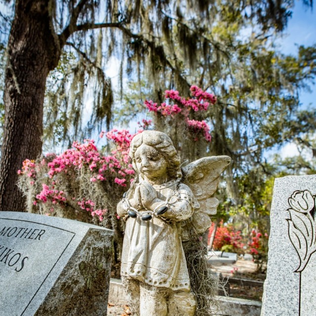 azaleas-bonaventure-cemetery4.jpg