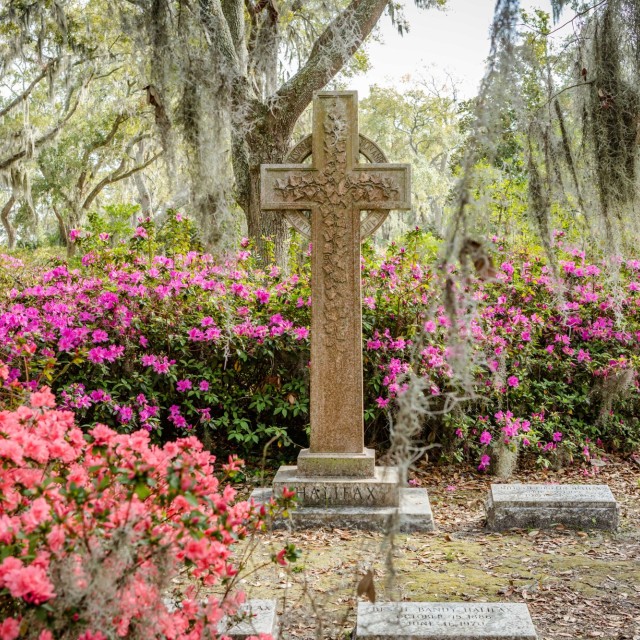 azaleas-bonaventure-cemetery5.jpg