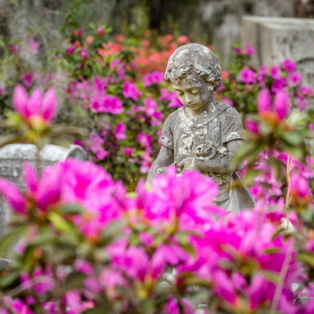 See Savannah Azaleas at Bonaventure Cemetery | VisitSavannah.com