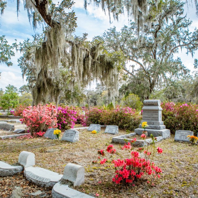 bonaventure-cemetery-azaleas.jpg