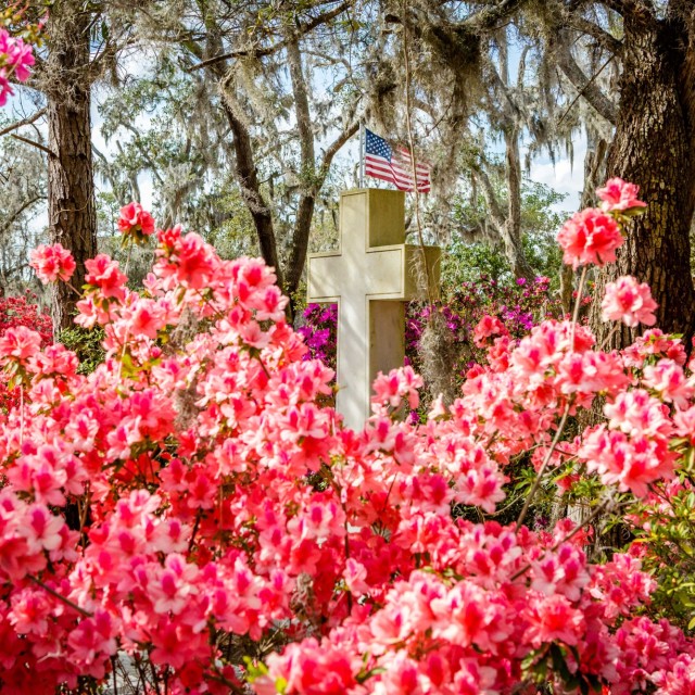 azaleas-bonaventure-cemetery2.jpg