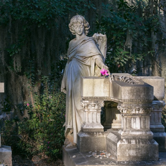 bonaventure_casey7118.jpg