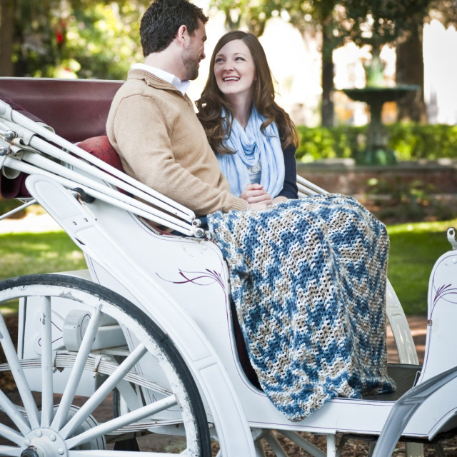 Savannah Horse and Carriage Tour