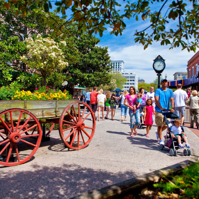 Savannah City Market
