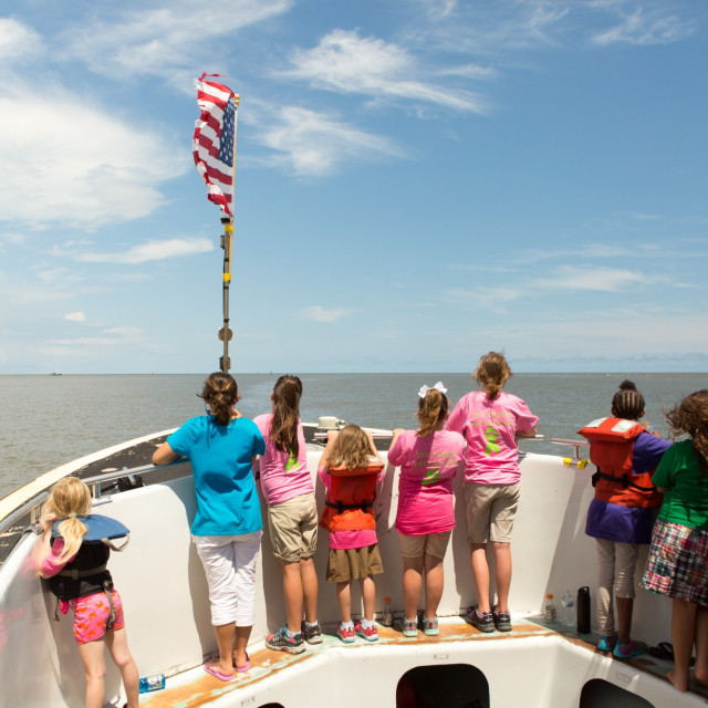 girl scouts tybee dolphin tour