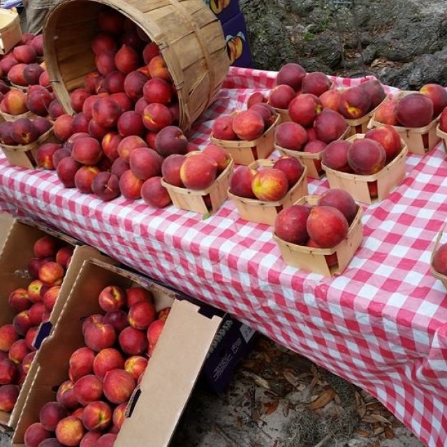 fresh-produce-forsyth-farmers-market.jpg