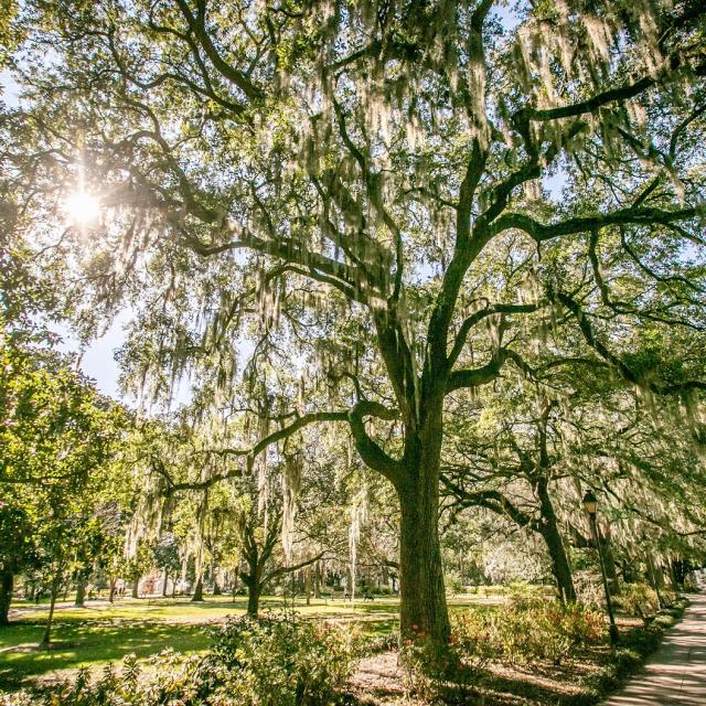 Forsyth-Park.jpg