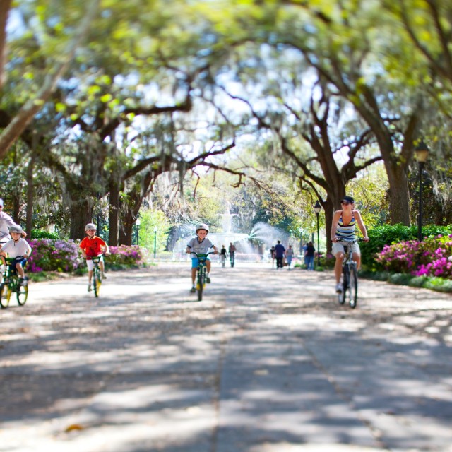 Forsyth Park Bicycles