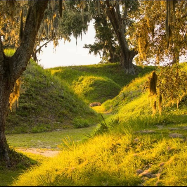 Fort McAllister State Park