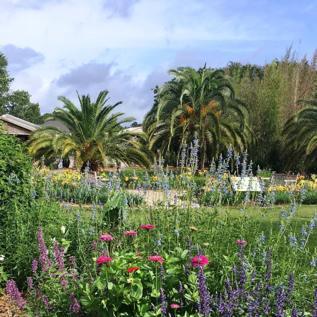 The Coastal Georgia Botanical Gardens