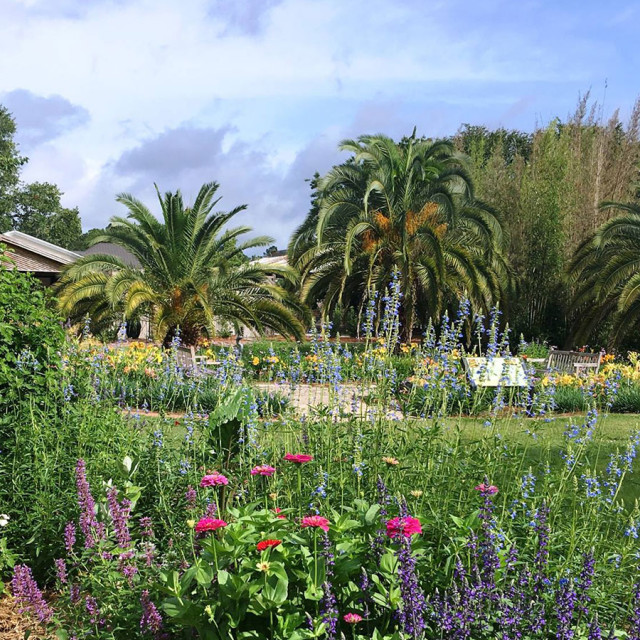 The Coastal Georgia Botanical Gardens