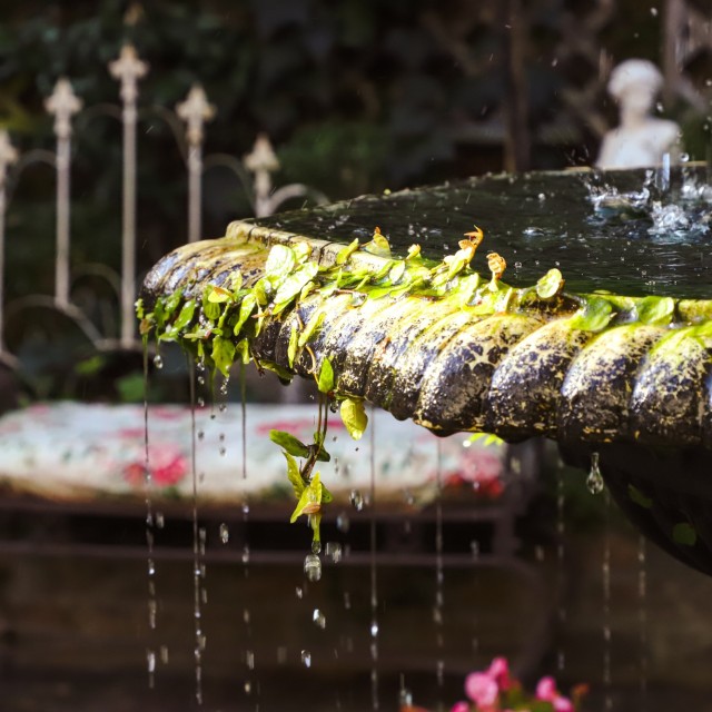 NOGS fountain.jpg