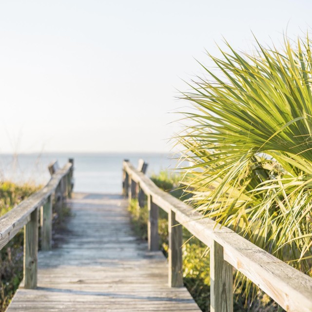 tybee island beach crossover