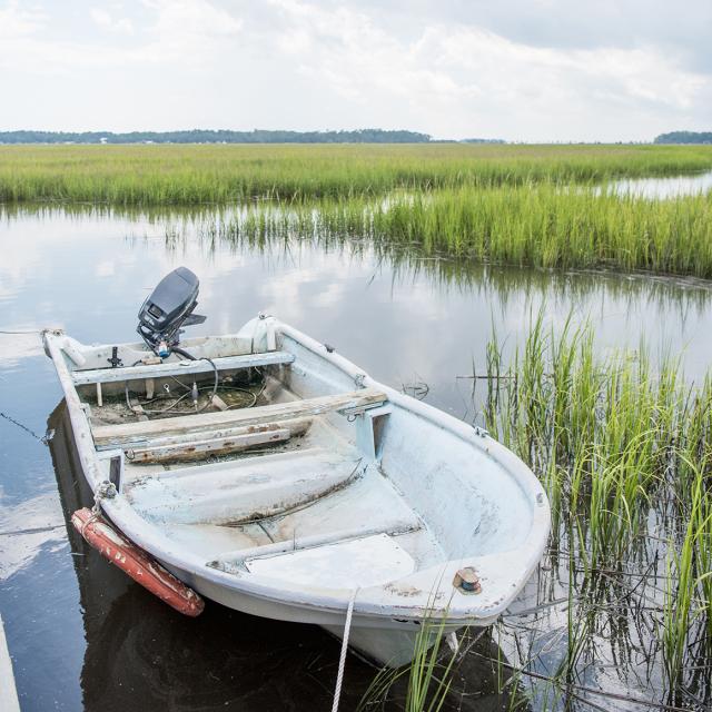 moon-river-boat-glades.jpg