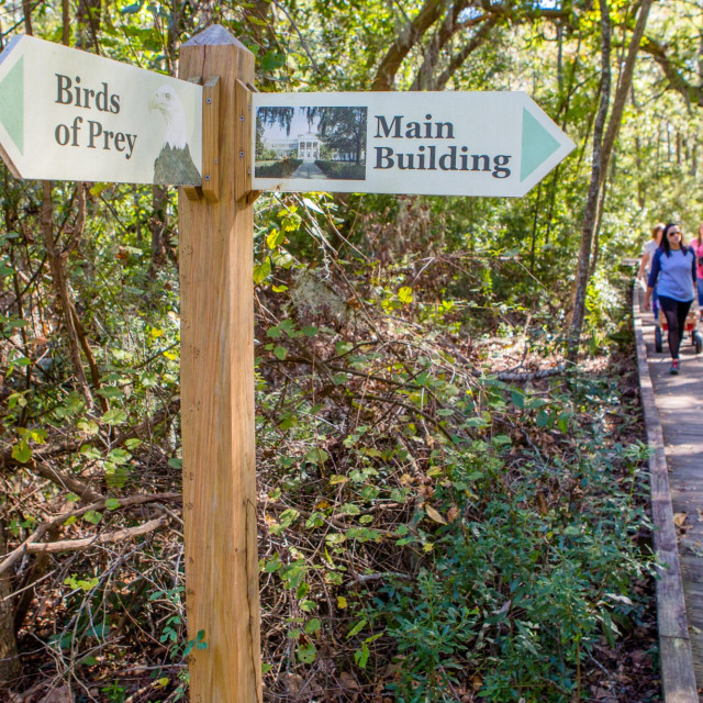 Oatland Island Wildlife Center