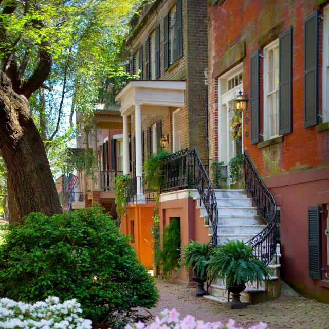 row-houses-azaleas.jpg