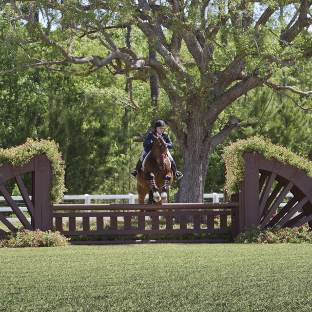 SCAD Equestrian