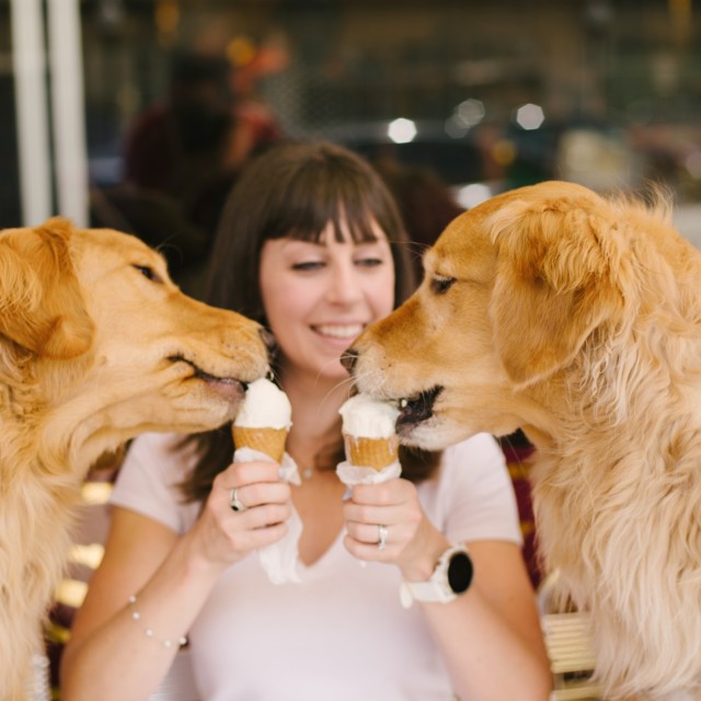 Dogs at Leopold's in Savannah