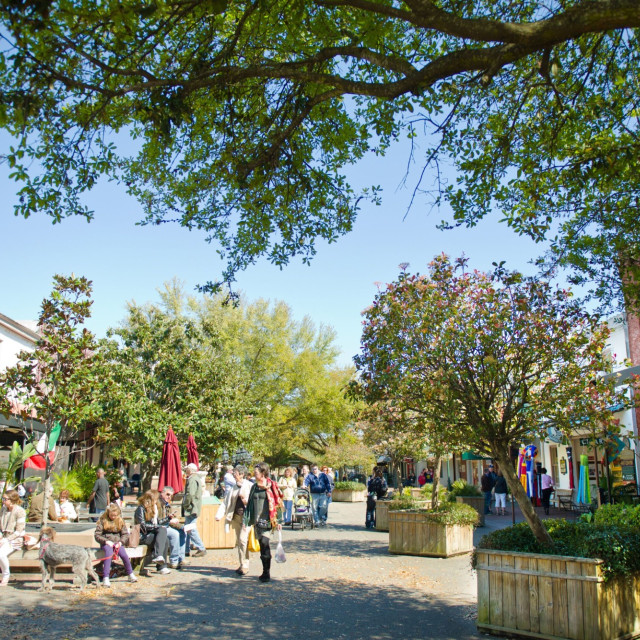 savannah-city-market.jpeg