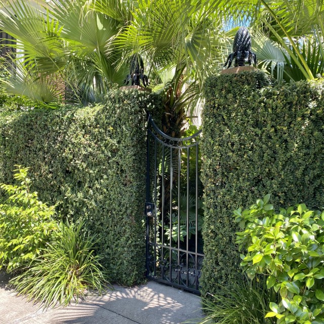 A lush garden gate in Savannah's Historic District.