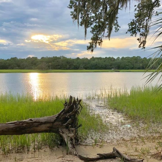 skidaway island state park