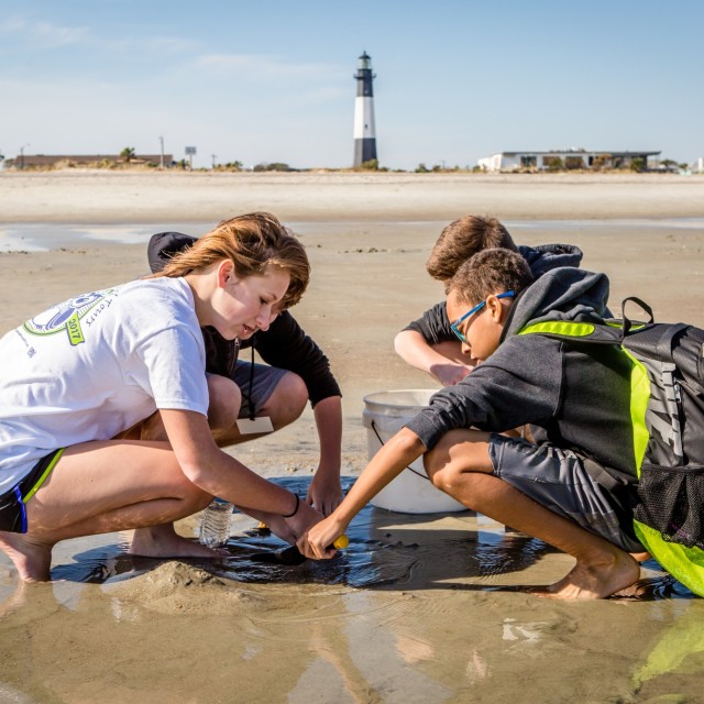 tybee ecology trip tybee island