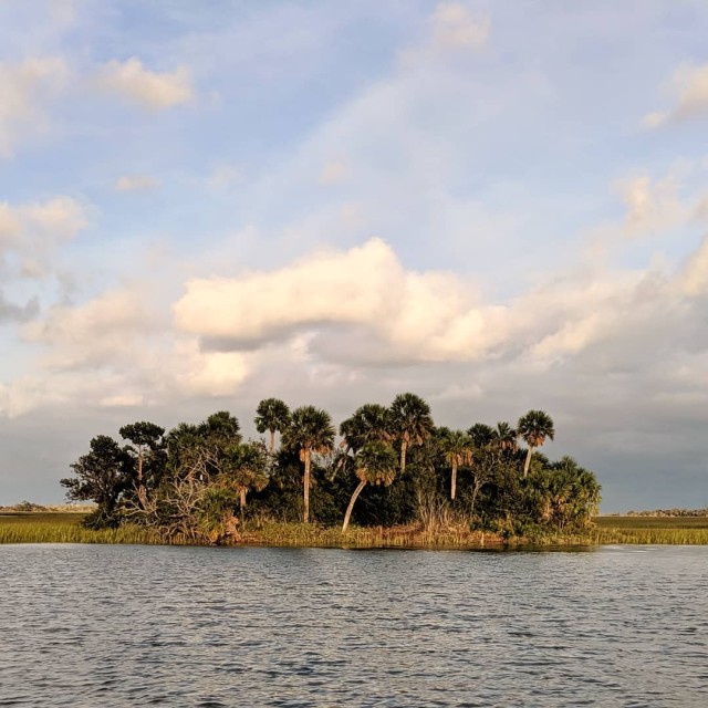 little tybee island