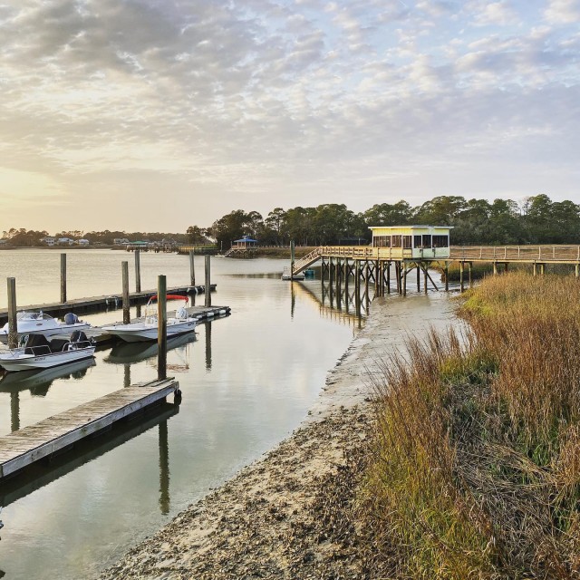 tybee island docks back river