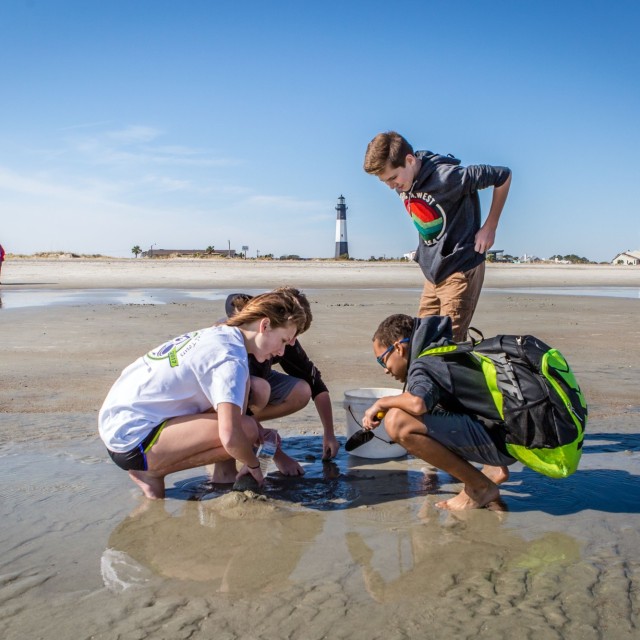 Tybee Island ecology tours on North Beach