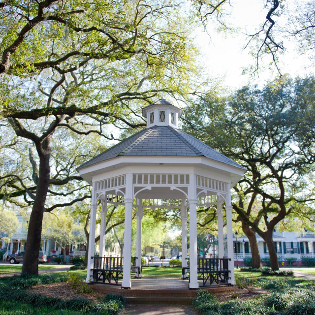 Whitfield-Square.jpg